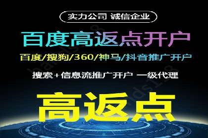 百度推广在电商领域的应用：成功提升销售额的秘诀